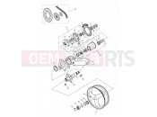 Rear Wheel/Final Drive Single sided swingarm - Triumph DAYTONA 955i 132513 > 2002