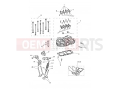TRIUMPH STREET CUP Cylinder Head & Valves