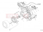 DUCATI 2022 Scrambler Desert Sled GENERATOR COVER