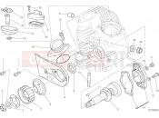 DUCATI 2022 Scrambler Desert Sled HORIZONTAL HEAD – TIMING SYSTEM