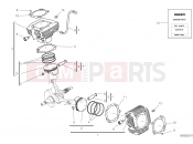 DUCATI 2023 Scrambler 1100 Dark Pro CYLINDERS - PISTONS [XST:ROK]