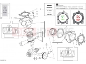 DUCATI 2023 XDiavel Dark CYLINDERS - PISTONS (ASSO WERKE)