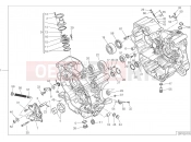 DUCATI 2019 Monster 821 HALF-CRANKCASES PAIR [MOD:M 821]