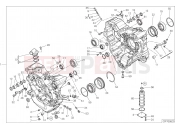 DUCATI 2021 Diavel 1260 Lamborghini HALF-CRANKCASES PAIR [MOD:DVLAMBO]