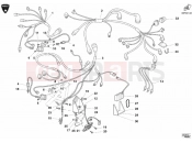 DUCATI Superbike 998 RS WIRING HARNESS » WIRING HARNESS