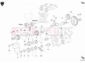 DUCATI Superbike 998 RS TIMING BELT » UNCLASSIFIED