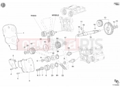 DUCATI 2002 Superbike 998 S Bostrom TIMING BELT » UNCLASSIFIED