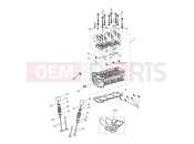TRIUMPH Tiger 1200 Alpine Cylinder Head & Valves