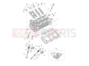 TRIUMPH Tiger 1200 GT Pro Cylinder Head & Valves