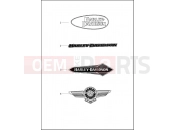 Harley-Davidson 2021 SOFTAIL SOFTAIL LOW RIDER S  - FXLRS FUEL TANK TRIM