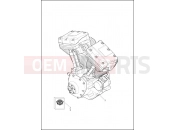 Harley-Davidson 2015 TOURING ULTRA CLASSIC LOW TWIN-COOLED  - FLHTCUL TC ENGINE ASSEMBLY - TWIN CAM 103â¢
