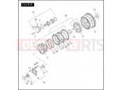 CLUTCH - Harley-Davidson V-ROD MUSCLE - VRSCF 105 2010