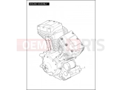 Harley-Davidson 2009 SOFTAIL SOFTAIL CUSTOM  - FXSTC ENGINE ASSEMBLY - TWIN CAM 96â¢