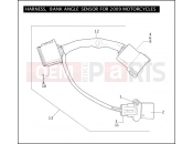 Harley-Davidson 2009 TOURING ELECTRA GLIDE CLASSIC  - FLHTC HARNESS, BANK ANGLE SENSOR FOR 2009 MOTORCYCLES