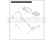 ELECTRONIC CONTROL MODULE & COIL - Harley-Davidson CVO ULTRA CLASSIC - FLHTCUSE3 2008