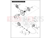 Harley-Davidson 2007 VRSC VRSCDX NIGHT ROD SPECIAL  - VRSCDX 105 ALTERNATOR & REGULATOR