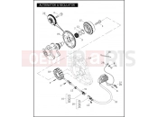 Harley-Davidson 2006 VRSC VRSCA V-ROD  - VRSCA 105 ALTERNATOR & REGULATOR