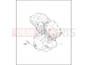 HARLEY-DAVIDSON DYNA SUPER GLIDE  - FXD COMPLETE ENGINE - TWIN CAM 88â¢