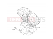 COMPLETE ENGINE - TWIN CAM 88â¢ - Harley-Davidson CVO DYNA WIDE GLIDE - FXDWG2 2001