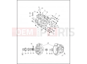 Harley-Davidson 1996 SOFTAIL SPRINGER SOFTAIL  - FXSTS CRANKCASE - 1995 (2 OF 2)