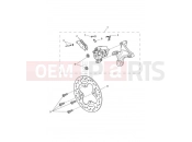 TRIUMPH Street Triple RS Rear Brake & Disc