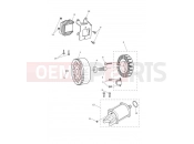 TRIUMPH Street Triple RS Starter & Alternator