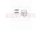 TRIUMPH Speed Twin 900 Front reservoir kit