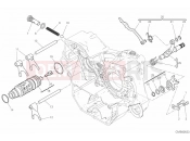 DUCATI Scrambler Desert Sled SHIFT CAM & FORK