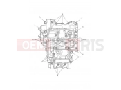TRIUMPH Tiger 800 XRT Crankcase Bolts