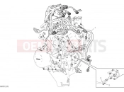 Engine electric system - Ducati Streetfighter V4 2024
