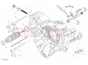 DUCATI Diavel 1260 S SHIFT CAM & FORK