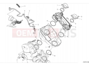 DUCATI 2024 Hypermotard 950 Throttle body