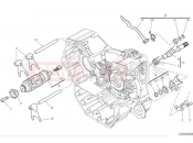 DUCATI 2024 Monster Shift cam & fork
