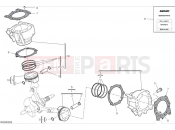 DUCATI Monster Plus Cylinders & pistons