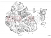 DUCATI 2024 Scrambler Full Throttle Intake manifold