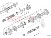 DUCATI 2024 Scrambler Icon Transmission