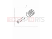 Triumph 2024 Speed Twin 900 Machined gear peg