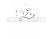 Triumph 2024 Speed Twin 900 Engine service kit
