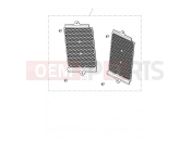 TRIUMPH Tiger 850 Sport Aluminium Radiator Guard