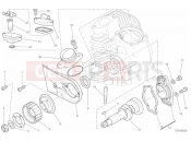 DUCATI Scrambler Desert Sled HORIZONTAL HEAD - DISTRIBUTION