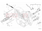 DUCATI 2019 Scrambler Cafe Racer SHIFT CAM & FORK