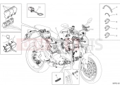 DUCATI Monster Vehicle Electric System