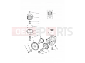 TRIUMPH THUNDERBIRD Lubrication System