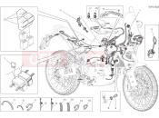 DUCATI 2025 Desert X Vehicle electric system