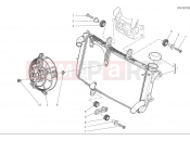 DUCATI 2025 Hypermotard 698 Mono Water cooler
