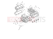TRIUMPH Tiger 1200 Rally Explorer Crankcase & Fittings