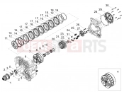 Clutch - Motoguzzi Stelvio E5+ (EU) 2024