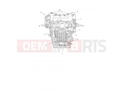 TRIUMPH Speed Triple 1200 RS Crankcase Bolts