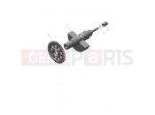 TRIUMPH Speed 400 Balancer