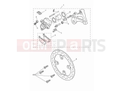 TRIUMPH Tiger 900 GT Pro Rear brake caliper & discs